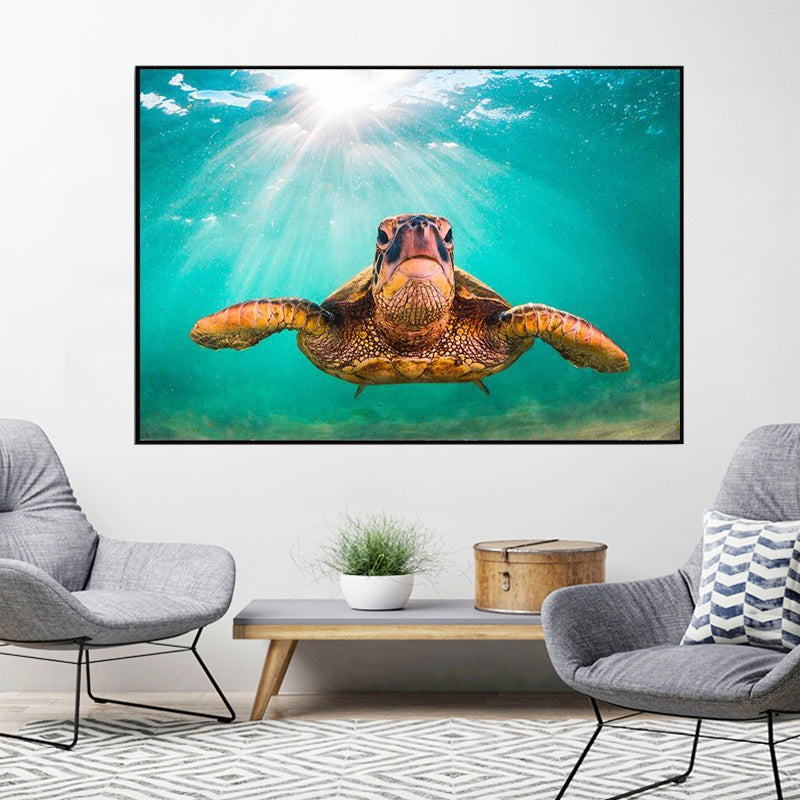 Graceful Journey: Sea Turtle Underwater