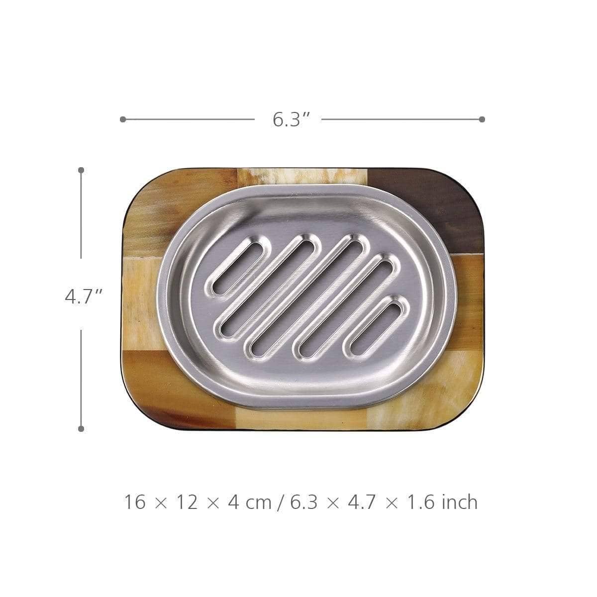 Abalone Shell Soap Holder - Touch of Nature for Your Shower Decor