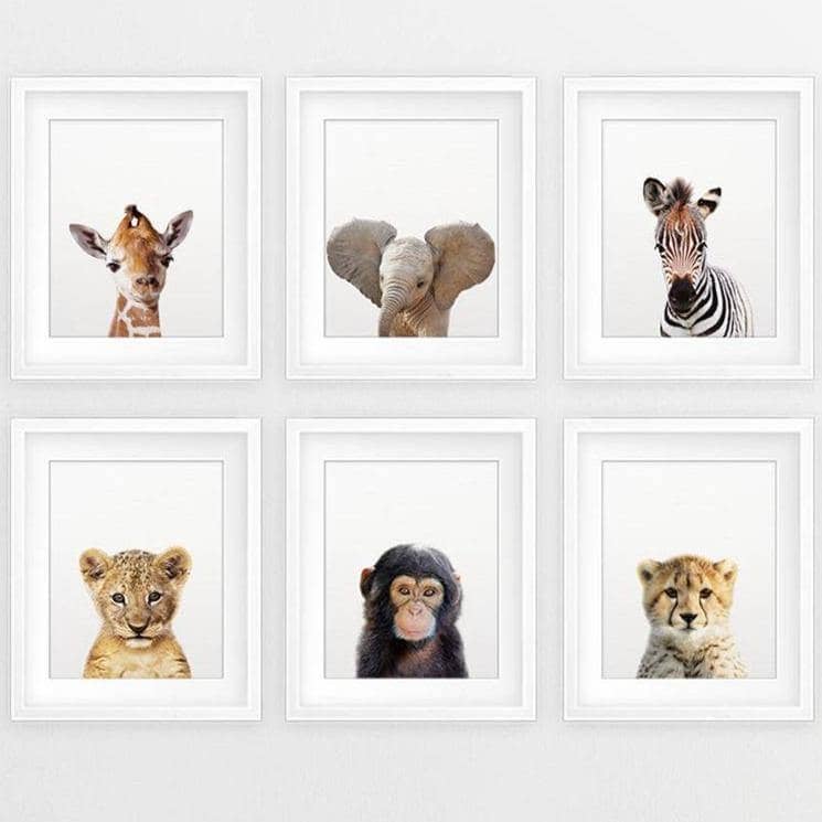 Charming Baby Cute Animals: Decorate Your Baby's Room