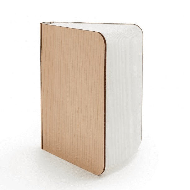 Get Lost in Your Book - 360 Degree LED Book Decor Lamp