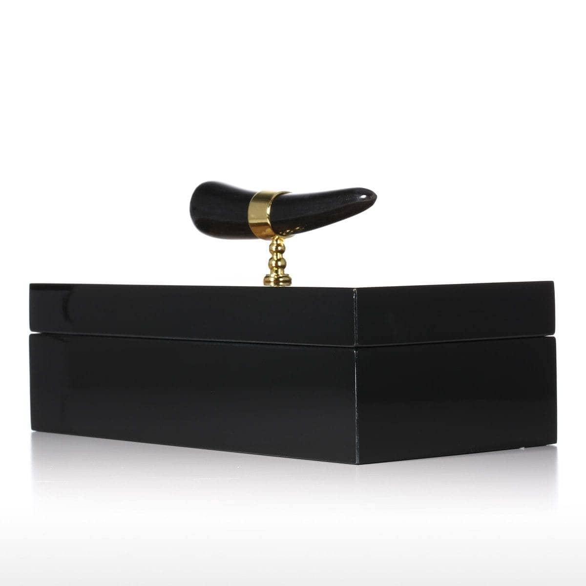 Horn Stripe Jewelry Organizer: Stylish and Chic Storage Solution for Accessories