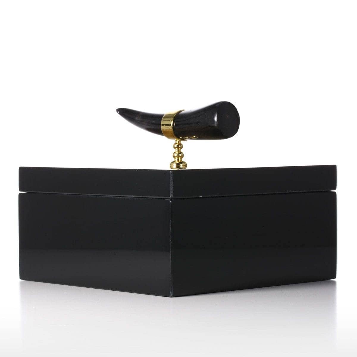 Horn Stripe Jewelry Organizer: Stylish and Chic Storage Solution for Accessories