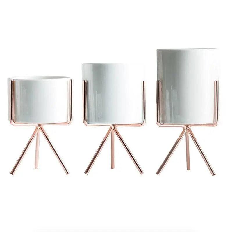 Minimalist Plant Pot Set - Stylish & Chic Home Decoration