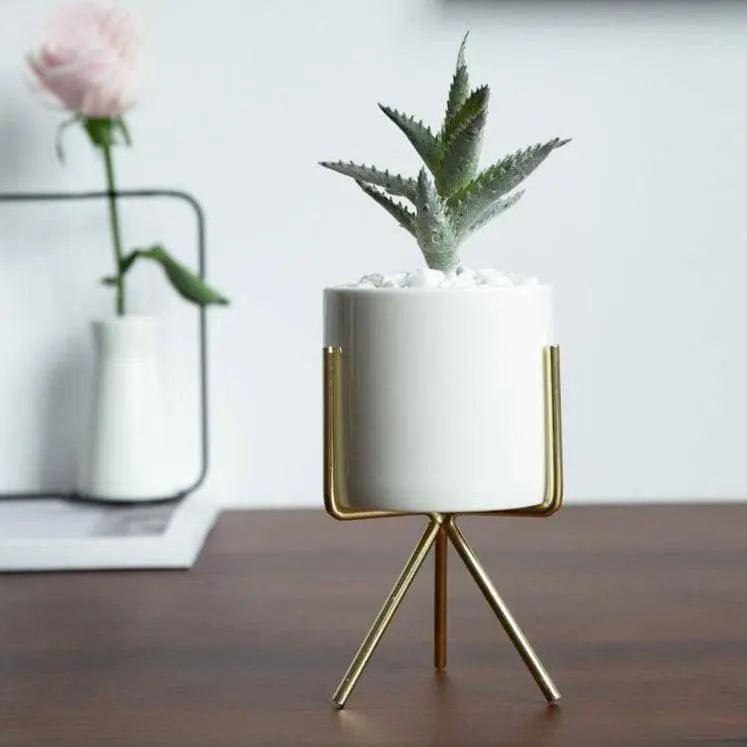 Minimalist Plant Pot Set - Stylish & Chic Home Decoration