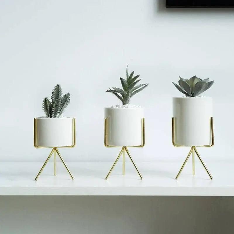 Minimalist Plant Pot Set - Stylish & Chic Home Decoration
