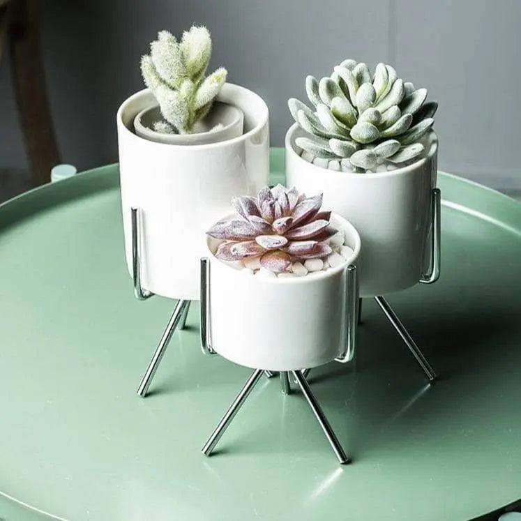 Minimalist Plant Pot Set - Stylish & Chic Home Decoration