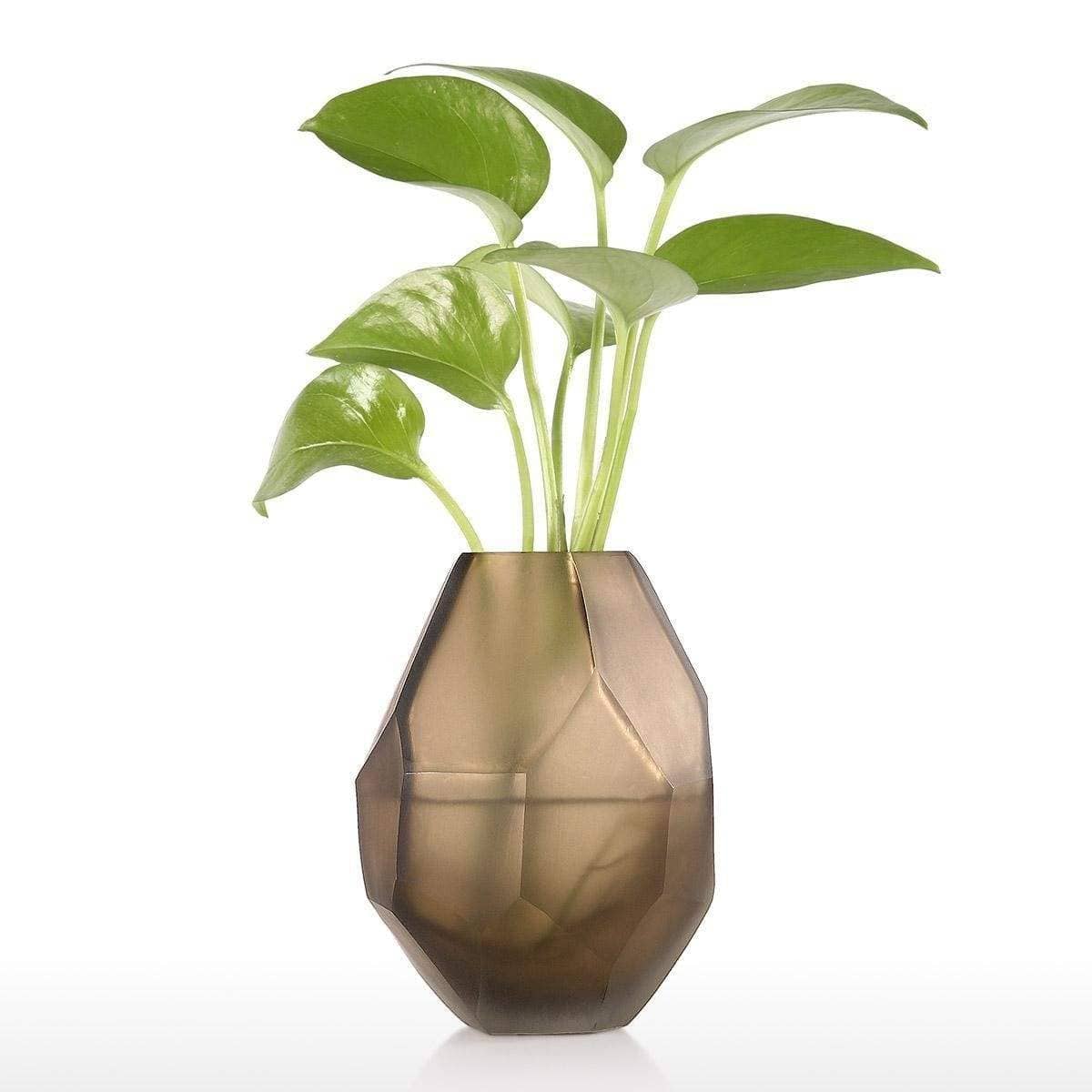Nordic Irregular Glass Flower Vase - Stylish Decor