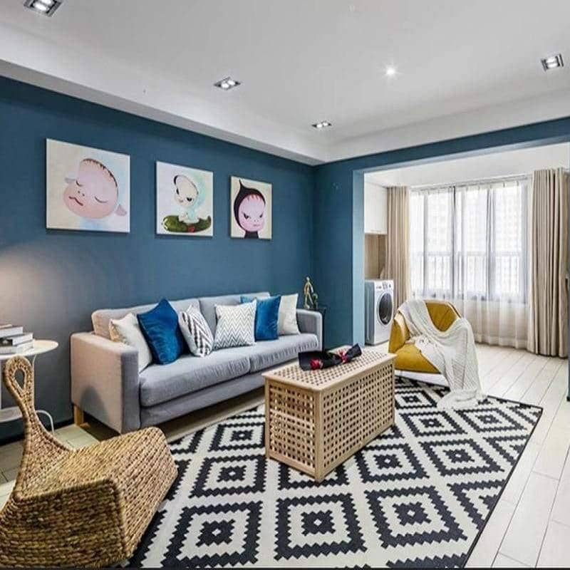 White & Black Contrast Living Room Rug - Rectangle Floor Carpet